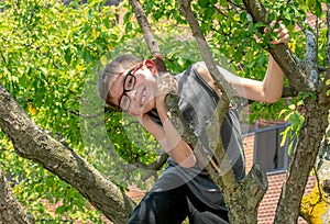 Young boy climbs a tree