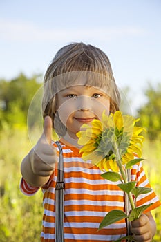 Happy boy with sunflower