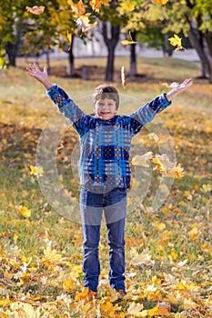 Happy boy throwing autumn leaves on sunny park