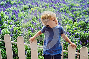 Happy boy tourist in lavender summer field. Traveling with child