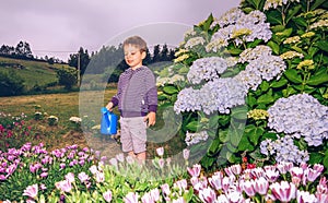 Happy boy watering flowers in the garden