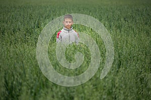 Happy boy young man on a green grain field