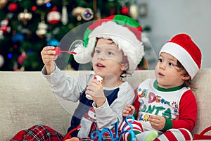 Happy boys playing with Christmas tree in the background