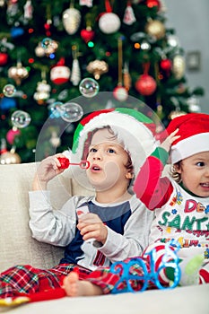 Happy boys playing with Christmas tree in the background