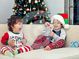 Happy boys playing with Christmas tree in the background