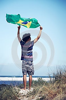 Happy Brasil supporter
