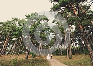 Happy bride and groom in the pine trees forest. their wedding day