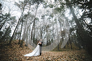 Happy bride and groom posing in the autumn forest