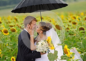 Happy bride and groom on their wedding. sunflowers field
