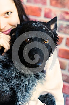 Happy brunette lady in casual wear hugging mudi pet dog, studio background.