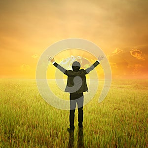 Happy business man in green fields and sunset