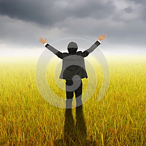 Happy Business Man standing in Yellow rice field and Rainclouds