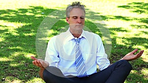 Happy businessman doing yoga in the park