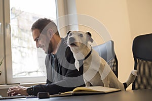 happy businessman working on laptop in office sitting next to dog with a tie