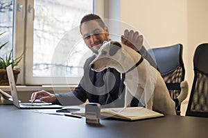 happy businessman working on laptop in office sitting next to dog with a tie