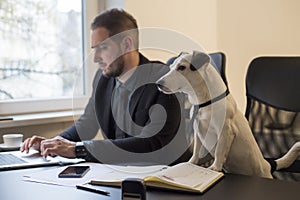 happy businessman working on laptop in office sitting next to dog with a tie