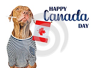 Happy Canada Day. Cute puppy and Canadian Flag