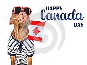 Happy Canada Day. Cute puppy and Canadian Flag