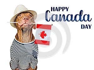 Happy Canada Day. Cute puppy and Canadian Flag