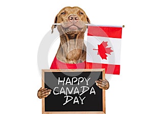 Happy Canada Day. Cute puppy and Canadian Flag