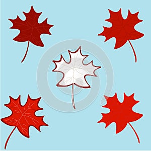 HAPPY CANADA DAY- Realistic red maple leafs