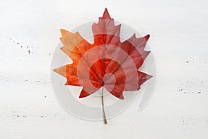 Happy Canada Day red silk maple leaf