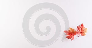 Happy Canada Day; sign and symbol concept made from red silk maple leaves on white background