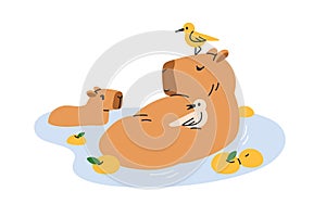 Happy capybara family. Cute capy mom and baby. Funny capibara mother and cub characters swimming, bathing, relaxing in photo