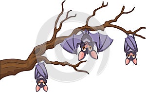 Happy cartoon bat hanging on tree