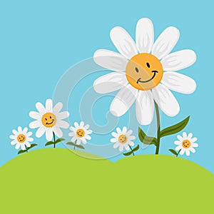 Happy Cartoon Daisy Flowers