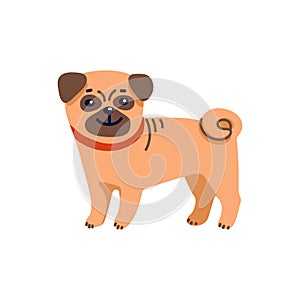 Happy cartoon puppy pug on white background. Dog beauty salon. Funny puppy character in the spa. Dog care, grooming