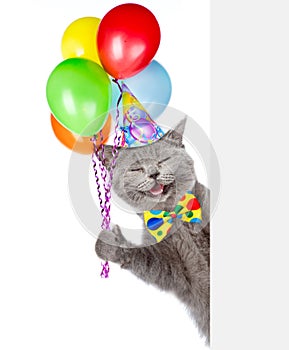 Happy Cat in birthday hat holding balloons and peeking from behind empty board. isolated on white background