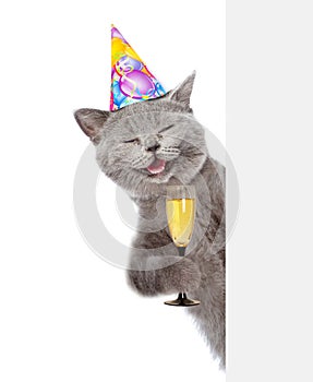 Happy cat in birthday hat holding glass of champagne and peeking from behind empty board. isolated on white background