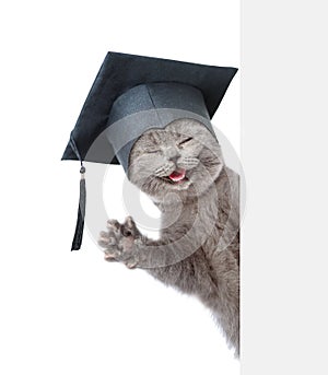 Happy Cat with black graduation cap peeking from behind empty board. isolated on white background