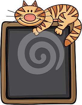 Happy cat with blackboard background