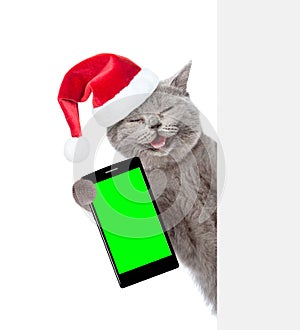 Happy cat in christmas hat with smartphone peeking from behind empty board. Isolated on white background