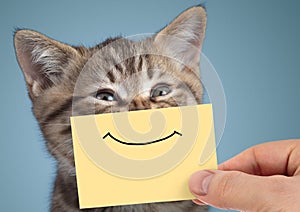 Happy cat closeup portrait with funny smile on cardboard photo