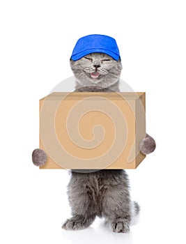 Happy cat delivering a big package. isolated on white background