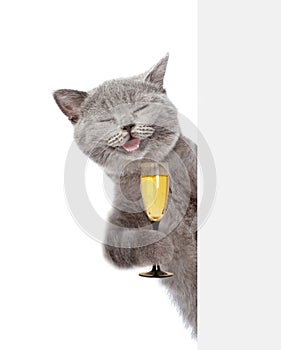 Happy cat holding glass of champagne and peeking from behind empty board. isolated on white background