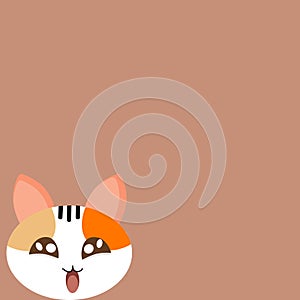 Happy cat on orange background for background and texter concept