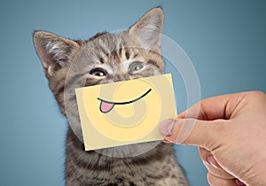 Happy cat portrait with funny smile and tongue