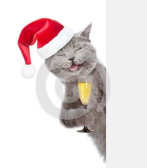Happy cat in red christmas hat holding glass of champagne and peeking from behind empty board. isolated on white background
