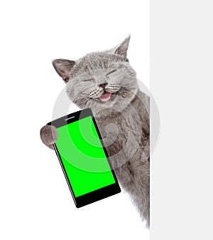 Happy cat with smartphone peeking from behind empty board. Isolated on white background