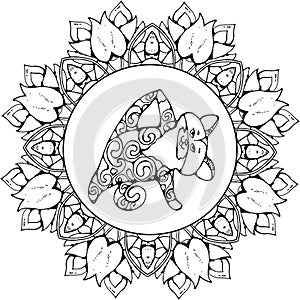 Happy cat in yoga pose stylized ornament. Mandala ornament.