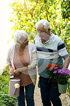 Happy caucasian senior couple walking with flowers and watering can in sunny garden