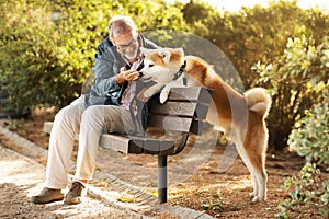 Happy caucasian senior man with beard in glasses gives to sniff his hand to dog, training in park, enjoy love