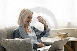 Happy cheerful senior retired woman talking on online video conference