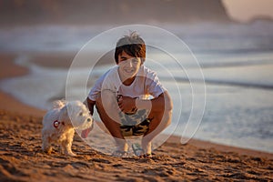 Happy chil, teen boy, playing on the beach on sunset with his pet dog, maltese breed, kid cover in sand, smiling, laughing