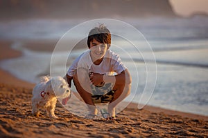 Happy chil, teen boy, playing on the beach on sunset with his pet dog, maltese breed, kid cover in sand, smiling, laughing photo