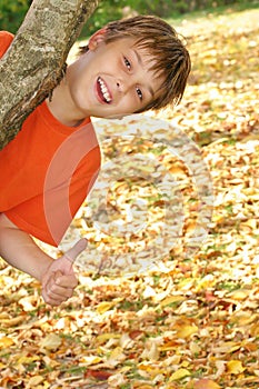 Happy child in autumn leaves